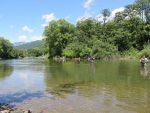 lim plav w6
