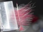10-roze-i-belo-cdc-zajedno-stavljamo-u-magic-tool