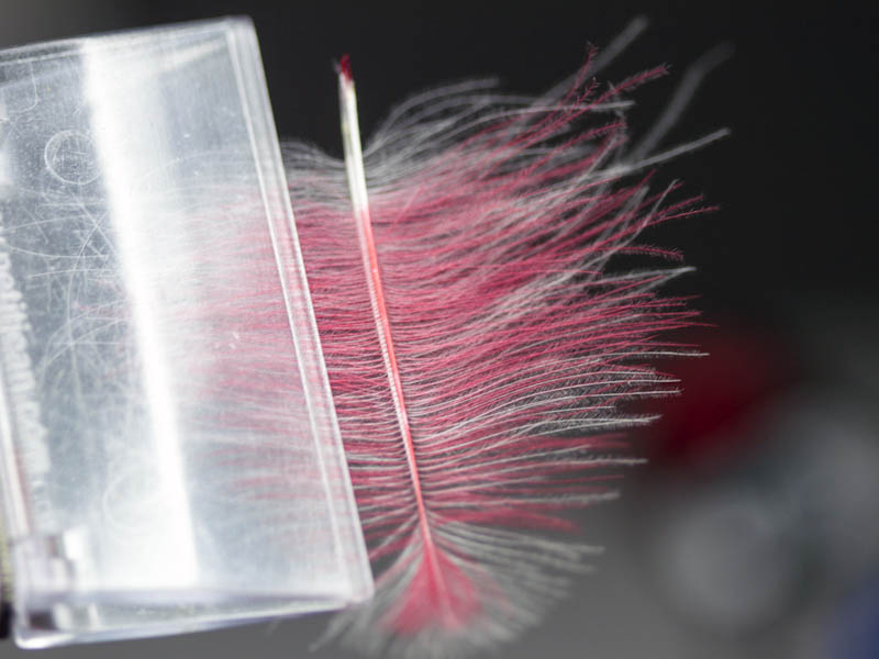 10-roze-i-belo-cdc-zajedno-stavljamo-u-magic-tool