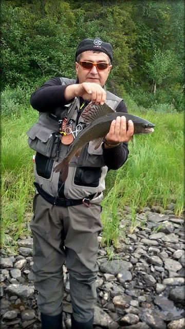 Asmir Gaco lipljan 54cm w