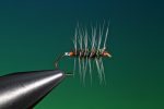 the-grayling-steel-blue-bumble-w