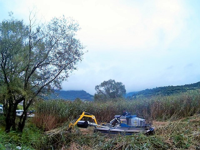 amfibija 7