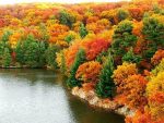 jezero-i-suma-u-jesen