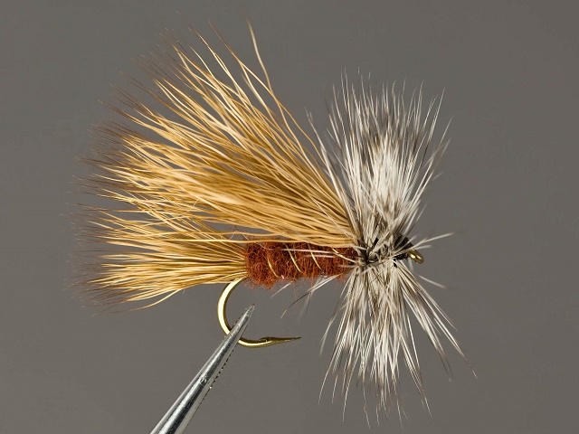 Mušica Rusty Stim