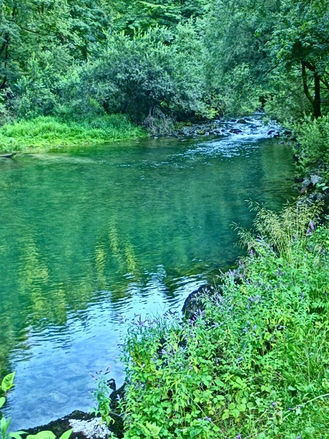teren