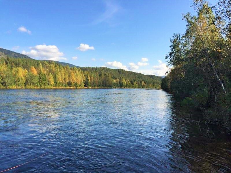 14555867_769171019853335_1251659231_n