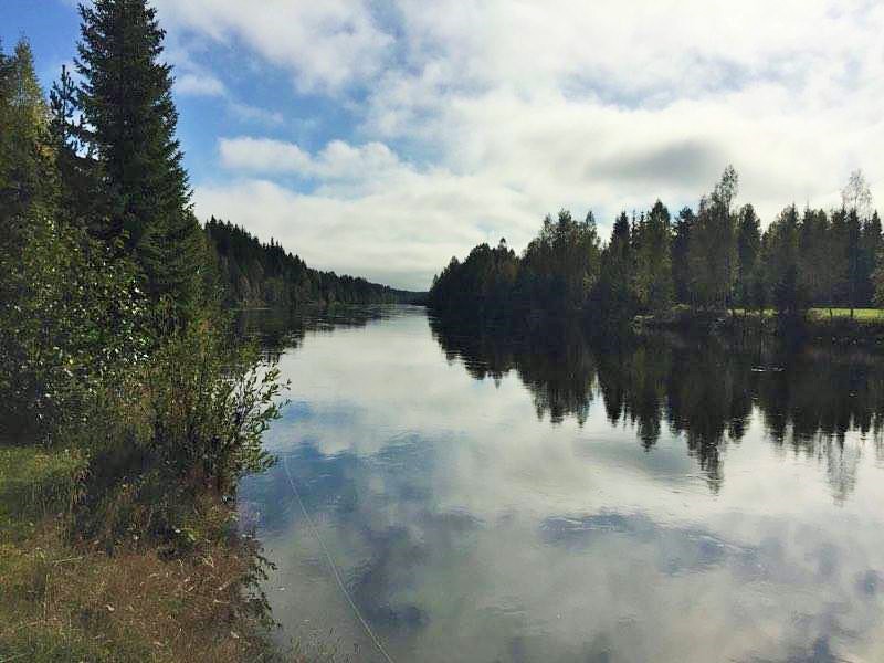 14555880_769171089853328_188647767_n