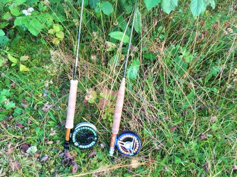 14555907_769171066519997_705852756_n