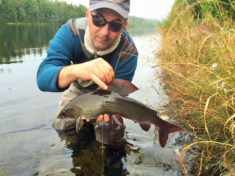 14556022_1273699009327887_1917109320_n