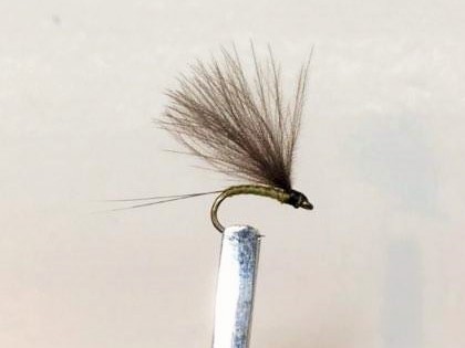 14556118_10208415034986549_1697933061_n