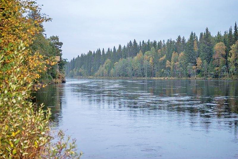 14569083_769168216520282_375050140_n