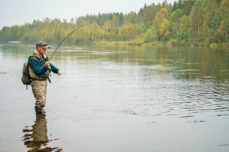 14585431_769168189853618_2061268914_n