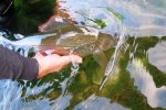amir-s-lipljanom-pustanje-web1