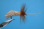 goddard_caddis