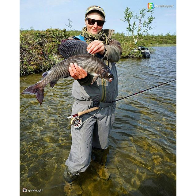 grayling-girl-lipljan-17-okt-2016