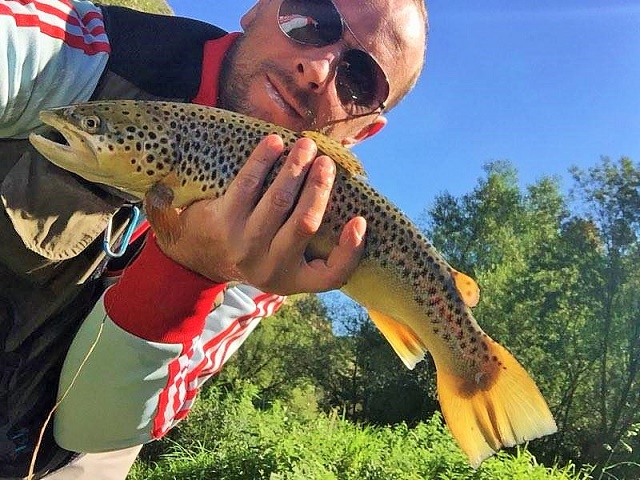 Potočare iz Miljacke sa ff revira