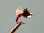 don-mear-s-sweet-fly-pic-fly-dreamers-2
