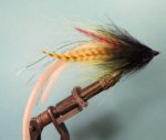 strimer-3
