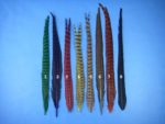ringneck-pheasant-center-tails