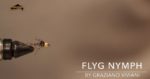 Flyg Nymph 2