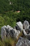 Gradac Tetrebovac