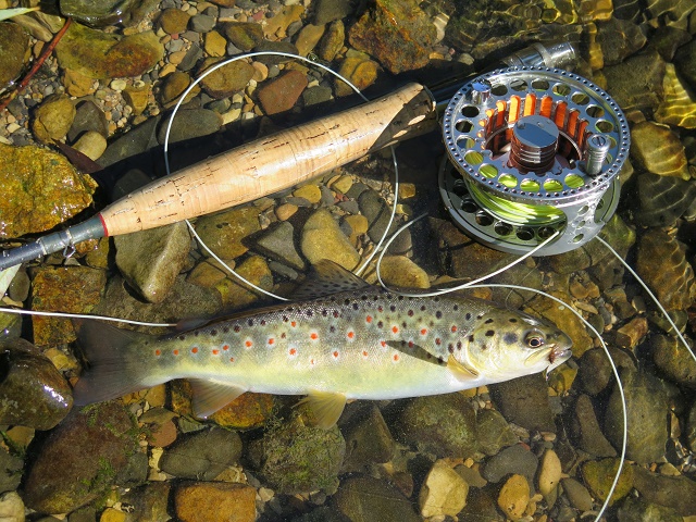 Otvor pastrmske sezone 2017.