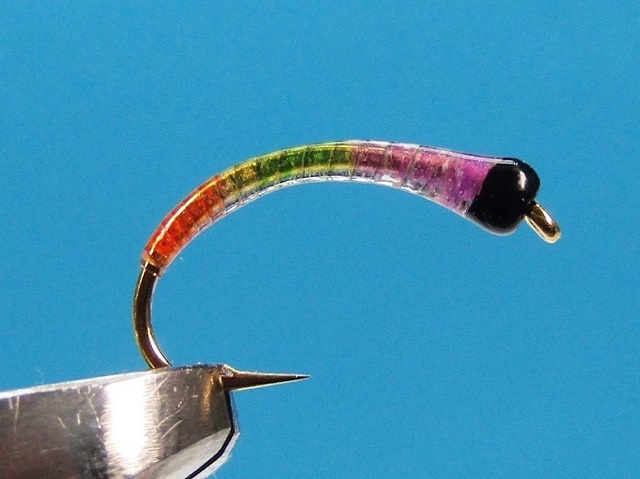 Larva od Magic Quill Erik Eikre