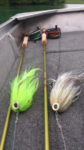 Test-Sage-Musky-2