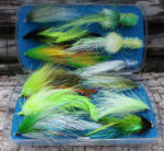 salmon-assort