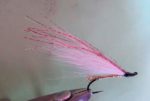 strimer 4
