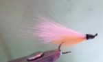 strimer 8