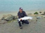 chinook salmon kris 3