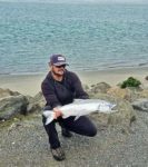 chinook salmon kris 4