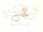 flyfishing-graphics-18