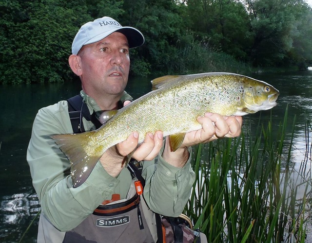 Karlova mekousna iz Trebižata, maj 2017.