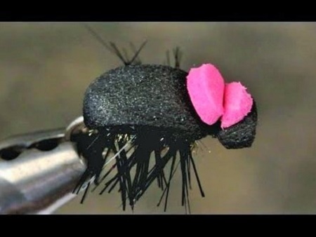 Imitacija kopnenih insekata – Foam Beetle