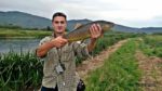 Vedran 1