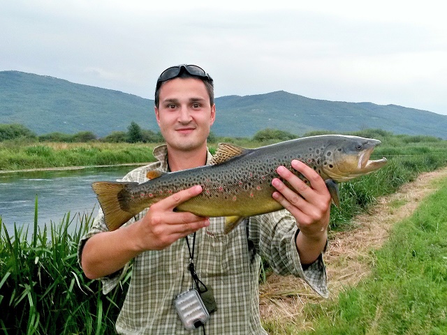 Rođendanski poklon – potočna pastrva 65cm