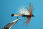 western_coachman_dry