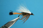 western_coachman_wet