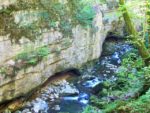 100_7224 (2)