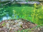 100_7236 (2)