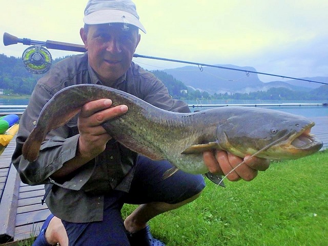 Som iz Bledskog jezera na mahač – Darko Ržen