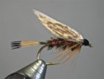 Hardy favorite web