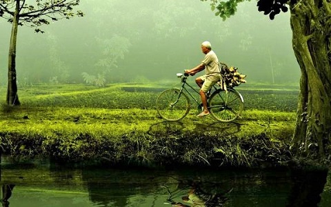 Svetski dan zaštite životne sredine!