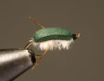 10807_corixa_2