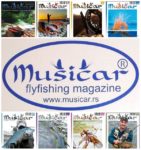 collage musicari web