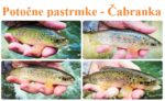 collage potocare cabranka s natpisom