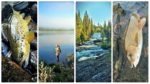 collage lapland III deo