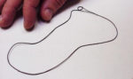 horsehair_worm01